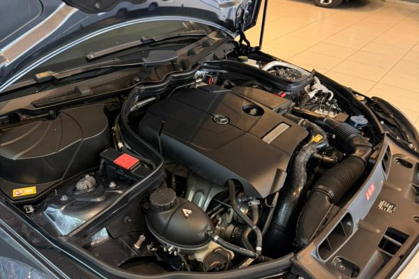 WhatsApp Image 2026-01-09 at 13.46.57