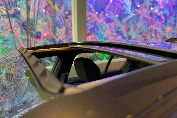 WhatsApp Image 2026-02-03 at 15.47.54 (1)