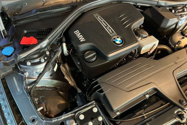 WhatsApp Image 2026-02-03 at 15.47.58