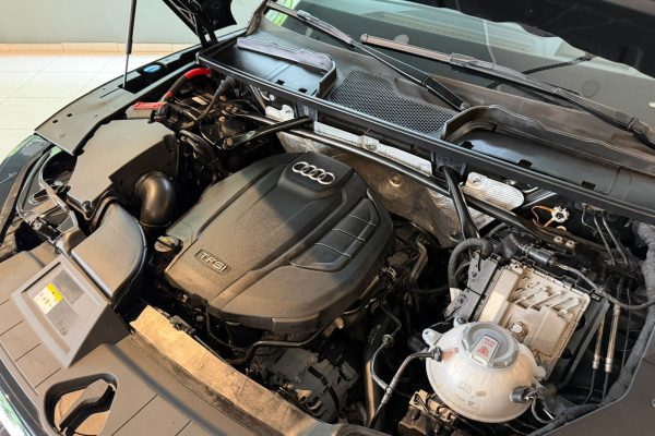 WhatsApp Image 2026-02-04 at 12.03.30