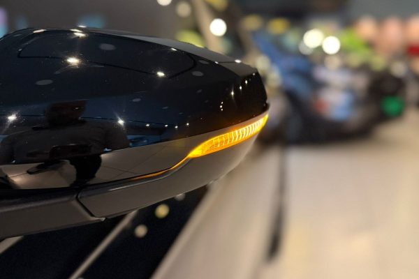 WhatsApp Image 2026-02-13 at 22.37.47 (2)