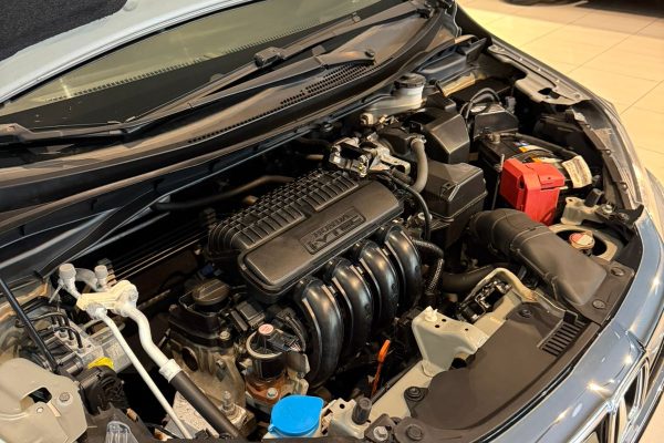 WhatsApp Image 2026-02-13 at 22.39.38 (1)