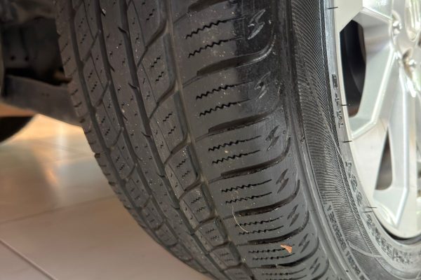 WhatsApp Image 2026-02-20 at 17.11.02