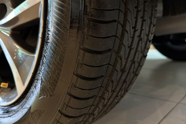 WhatsApp Image 2026-03-12 at 16.33.50 (1)