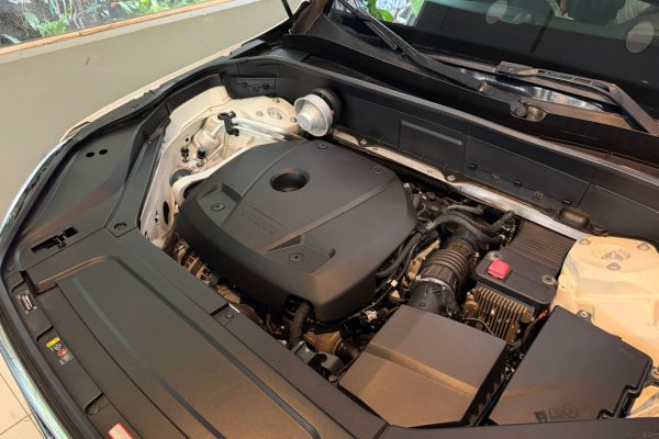 WhatsApp Image 2026-03-13 at 14.17.02 (1)