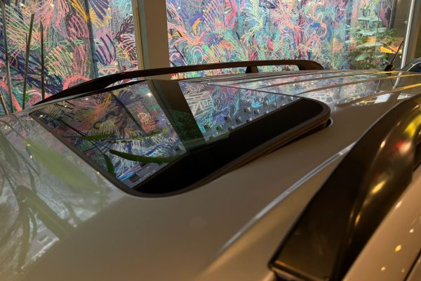 WhatsApp Image 2026-03-18 at 17.37.04 (1)