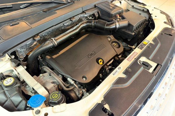 WhatsApp Image 2026-03-24 at 10.31.29