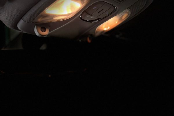 WhatsApp Image 2026-04-24 at 13.07.50